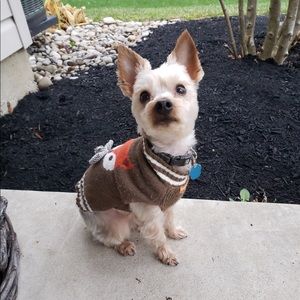 Meet your Posher, Tammy